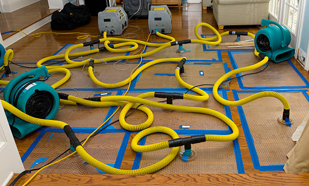 Professional Flood Damage Restoration technician working in Ethel, LA